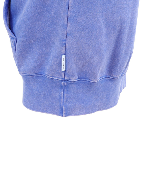 ベンデイビス（BEN DAVIS）アーチロゴ プルパーカー 25780044-BLU