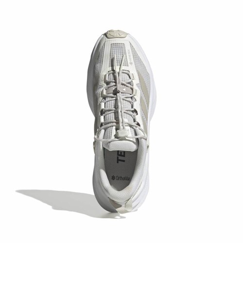 テッド　まとめ売り アディダス（adidas）カジュアルシューズ テレックス フリーハイカー
