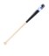 ミズノ（MIZUNO）軟式用バット 野球 一般 プロフェッショナルセレクション 84cm/平均780g 1CJWR14884 TN