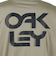 オークリー（OAKLEY）ラッシュガード 長袖 Rash Hoody 25.0 FOA407762-7C9