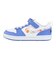 ナイキ（NIKE）キッズ スニーカー スポーツシューズ コート ボロー LOW FL PS ホワイト IQ0879-100 カジュアルシューズ