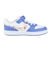 ナイキ（NIKE）キッズ スニーカー スポーツシューズ コート ボロー LOW FL PS ホワイト IQ0879-100 カジュアルシューズ