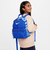 ナイキ（NIKE）ジュニア ブラジリア JDI ミニ バックパック 11L DR6091-480