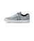 ディーシーシューズ（DC SHOES）スニーカー ボーダーシューズ ウィメンズ チェルシー プラス TX SE ライトブルー 26SPDW261302LBY …