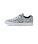 ディーシーシューズ（DC SHOES）スニーカー ボーダーシューズ ウィメンズ チェルシー プラス TX SE ライトブルー 26SPDW261302LBY …
