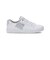 ディーシーシューズ（DC SHOES）スニーカー ボーダーシューズ ウィメンズ チェルシー プラス SE SN ホワイト シルバー 26SPDW261301S…