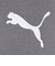 プーマ（PUMA）トレーニング ボルテージ ニットパンツ 660936 15 DGRY