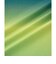 ヨネックス（YONEX）バドミントン ユニドライTシャツ 16843-169
