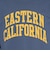 チャンピオン-ヘリテイジ（CHAMPION-HERITAGE）BA COLLEGE PRINT 長袖Tシャツ C3-D411  385