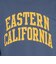 チャンピオン-ヘリテイジ（CHAMPION-HERITAGE）BA COLLEGE PRINT 長袖Tシャツ C3-D411  385