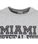 チャンピオン-ヘリテイジ（CHAMPION-HERITAGE）BA COLLEGE PRINT 長袖Tシャツ C3-D412  070
