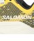 サロモン（SALOMON）ランニングシューズ ジョギングシューズ エアログライド 4 グラベル W イエロー L49213800 スポーツ シューズ