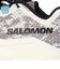 サロモン（SALOMON）ランニングシューズ ジョギングシューズ エアログライド 4 グラベル W グレー L49175500 スポーツ シューズ