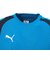 プーマ（PUMA）サッカーウェア INDIVIFINALPROLS 長袖シャツ 66090602