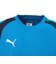 プーマ（PUMA）サッカーウェア INDIVIFINALPROLS 長袖シャツ 66090602