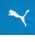 プーマ（PUMA）サッカーウェア INDIVIFINALPROLS 長袖シャツ 66090602