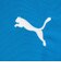 プーマ（PUMA）サッカーウェア INDIVIFINALPROLS 長袖シャツ 66090602