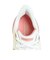 サッカニー（SAUCONY）ランニングシューズ トレーニングシューズ 部活 エンドルフィン スピード 5 アイボリー S11007-140 IVORY/MAU…