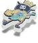 クロックス（crocs）ジビッツチャーム ONE PIECE ブルック 10018786