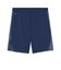 プーマ（PUMA）サッカーウェア INDIVIFINAL TR ショーツ 66087702