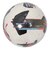 プーマ（PUMA）サッカーボール 5号球 検定球 オービタ 5 HS 08433401 5
