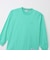 チャンピオン-ヘリテイジ（CHAMPION-HERITAGE）アクションスタイル ロングスリーブTシャツ C3-V414  420