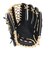 ミズノ（MIZUNO）ソフトボール用グラブ グローブ 外野手用 グローバルエリート SELECT 1AJGS34407 0980