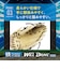 ミズノ（MIZUNO）少年軟式用グラブ オールラウンド用 野球グローブ ウィルドライブ ブルー 1AJGY34730 8057