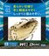 ミズノ（MIZUNO）少年軟式用グラブ オールラウンド用 野球グローブ ウィルドライブ ブルー 1AJGY34720 8057