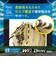 ミズノ（MIZUNO）少年軟式用グラブ オールラウンド用 野球グローブ ウィルドライブ ブルー 1AJGY34720 8057