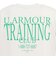 アンダーアーマー（UNDER ARMOUR）ヘビーウエイト パッチ ショートスリーブ Tシャツ 6012638 110