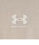 アンダーアーマー（UNDER ARMOUR）ヘビーウェイト ワーディング 半袖Tシャツ 6017122 299