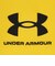 アンダーアーマー（UNDER ARMOUR）ヒートギア アーマー コンプレッション ロングスリーブ シャツ 6017961 737