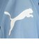 プーマ（PUMA）サッカーウェア ジュニア INDIVILIGA グラフィック 半袖Tシャツ 66096706