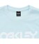 オークリー（OAKLEY）MARK II 半袖Tシャツ 2.0 FOA404011-6GC