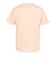 チャンピオン-ヘリテイジ（CHAMPION-HERITAGE）ショートスリーブTシャツ C3-X352 453