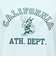 チャンピオン-ヘリテイジ（CHAMPION-HERITAGE）WBS RELAX COLLEGE 半袖プリントTシャツ CW-D325  410