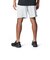アンダーアーマー（UNDER ARMOUR）テック ワードマーク ショーツ 6012546 014