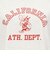 チャンピオン-ヘリテイジ（CHAMPION-HERITAGE）WBS RELAX カレッジ 半袖プリントTシャツ CW-D325  810