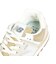 ニューバランス（new balance）スニーカー スポーツシューズ 574 ベージュ U5748DFD スポーツ カジュアル シューズ