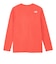 ザ・ノース・フェイス（THE NORTH FACE）ロングスリーブ ES ビッグ ロゴTシャツ NT32580 HC