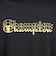 チャンピオン（CHAMPION）バレーボールウェア 半袖Tシャツ C3-DV320 090