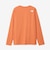 ザ・ノース・フェイス（THE NORTH FACE）長袖 ES ビッグロゴTシャツ NTW32580 FB