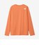 ザ・ノース・フェイス（THE NORTH FACE）長袖 ES ビッグロゴTシャツ NTW32580 FB