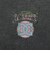 ディーシーシューズ（DC SHOES）ダブルスカル 半袖Tシャツ 26SPDST261025BKP