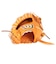 ウイルソン（Wilson）硬式用グラブ 内野手用 野球グローブ 一般 INFIELD D5 LTD ORTN WBW104532