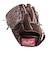 ローリングス（Rawlings）硬式用グラブ 投手用 野球グローブ 一般 HOH PREMIUM A15W GH6HPA15W-EB-RH