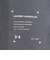 アンダーアーマー（UNDER ARMOUR）モチベート ソフト ショートスリーブ Tシャツ 6012572 025