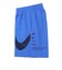 ナイキ（NIKE）水陸両用 グラフィック スペック 7 ボレーショーツ NESSF508-N434