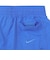 ナイキ（NIKE）水陸両用 グラフィック スペック 7 ボレーショーツ NESSF508-N434